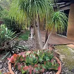 Kingfisher - Pet Friendly - Margaret River