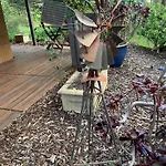 Kingfisher - Pet Friendly - Margaret River