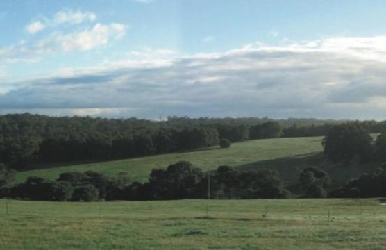 Hilltop