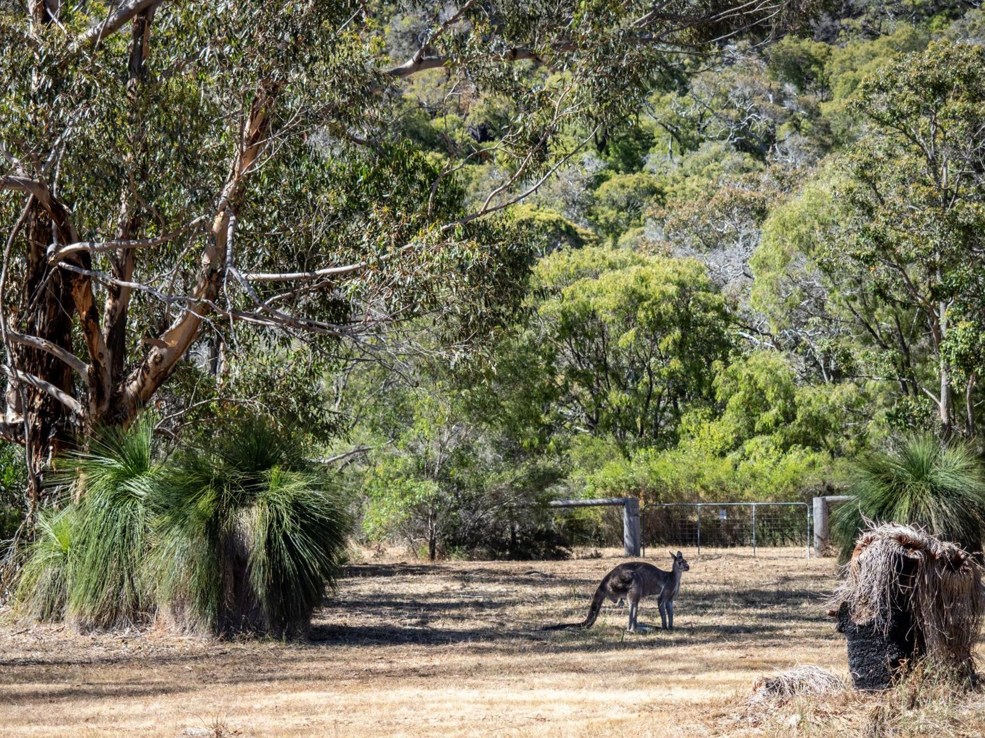 By The River - Idyllic Getaway Margaret River