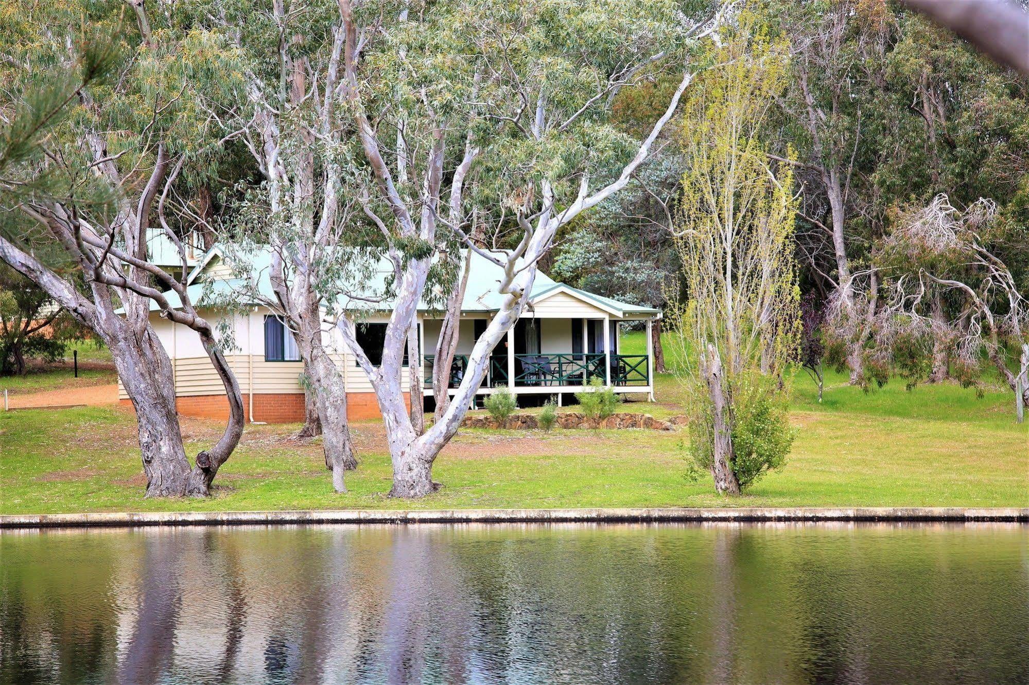 Bushy * Margaret River