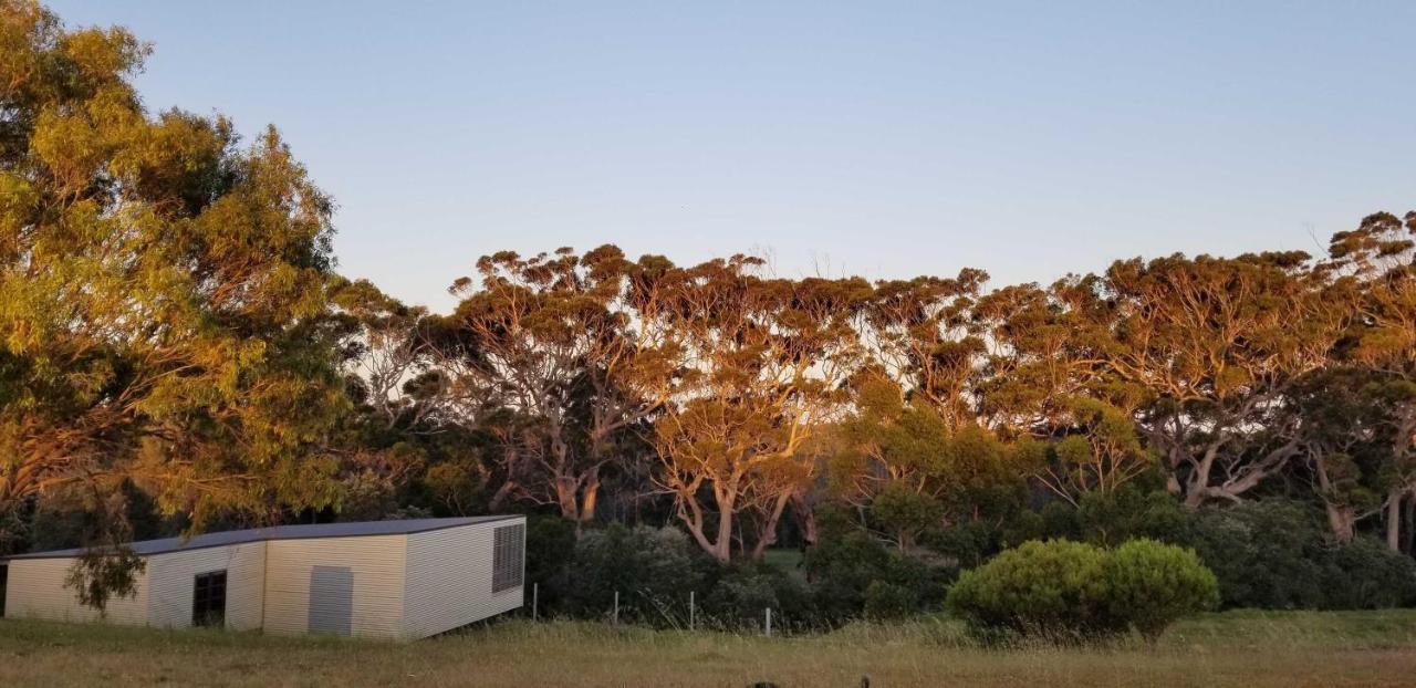 Karriview Lodge Margaret River