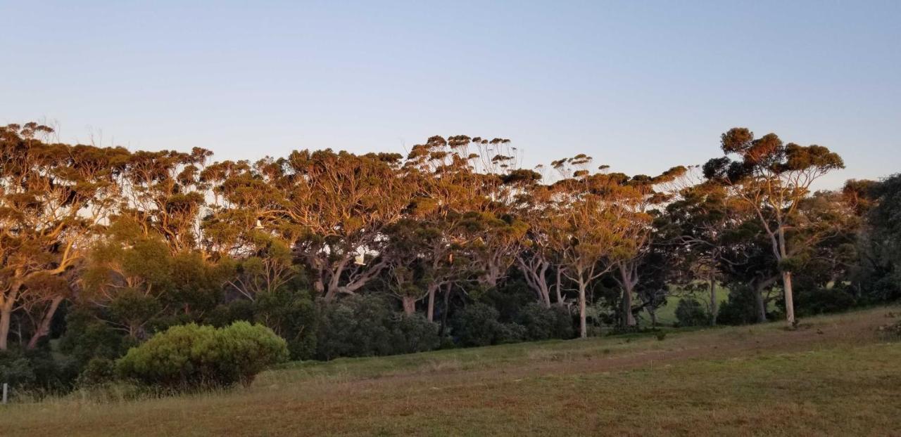 Karriview Lodge