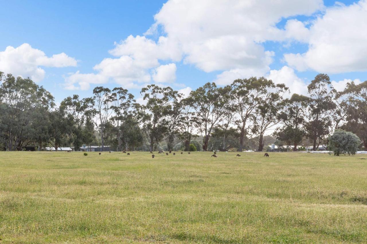 Kangaroo Retreat - Family Favourite Bush Retreat With Kangaroos In *