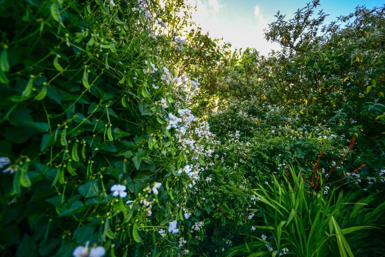Margaret River Guest House