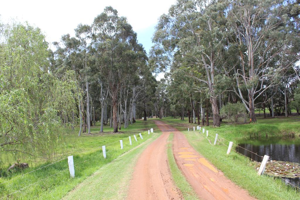 Lodge Gilgara Retreat *