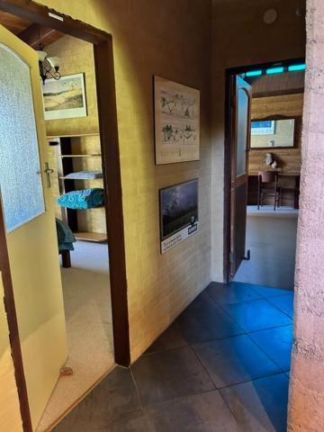 Tea Tree - Pet Friendly - Prevelly - *