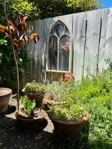 Tea Tree - Pet Friendly - Prevelly - Holiday home