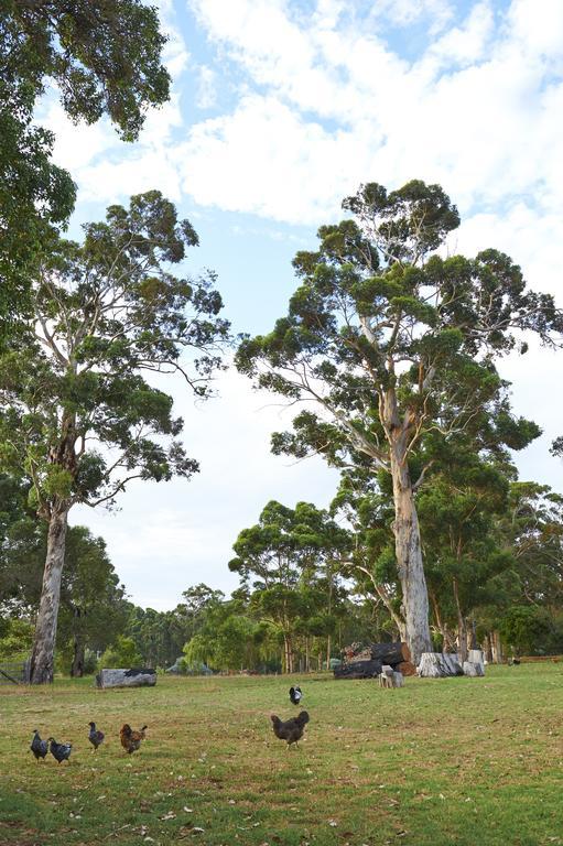 Bed & Breakfast Karri House. Eat - - Love *