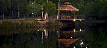 Hotel Forest Rise Eco Retreat
