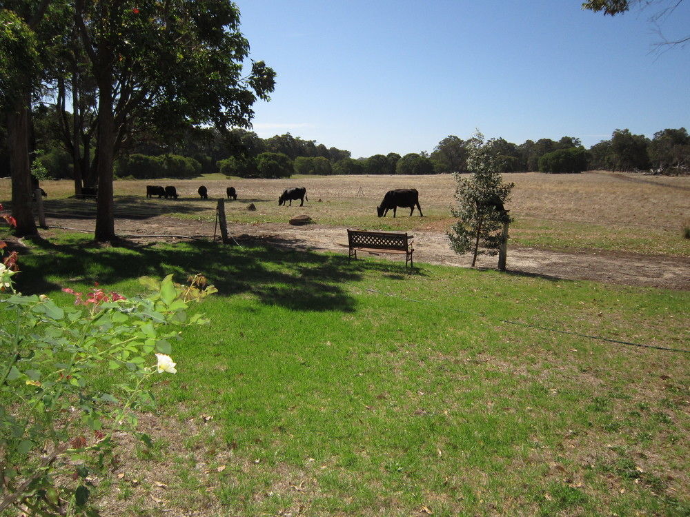 Marri 3* Margaret River