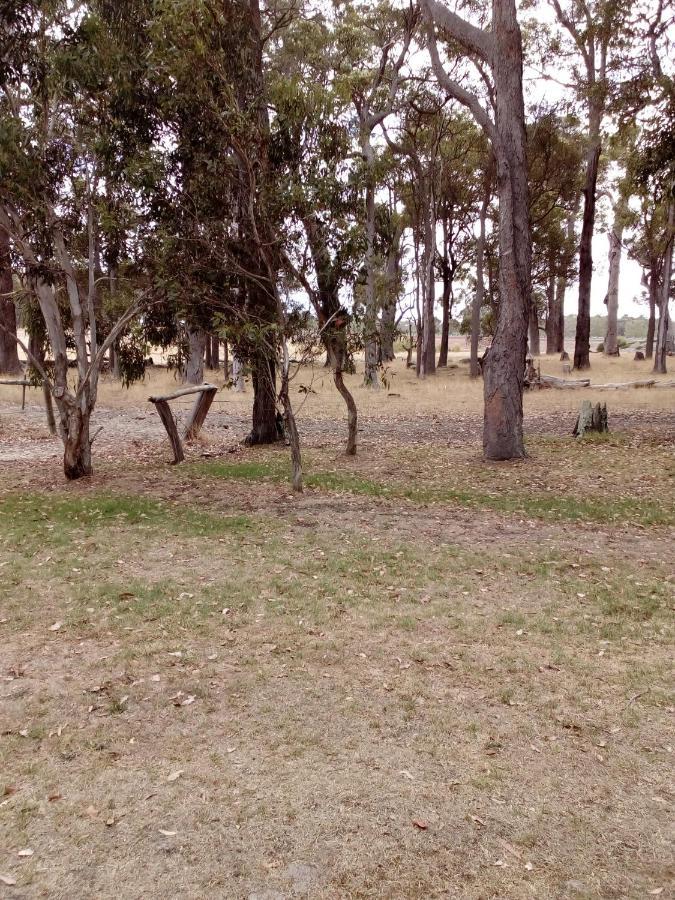 Marri Guest house